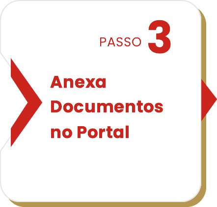 Passo 3