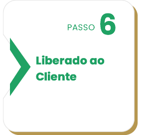 Passo 6 (H)